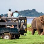 Yala Jeep_Safari